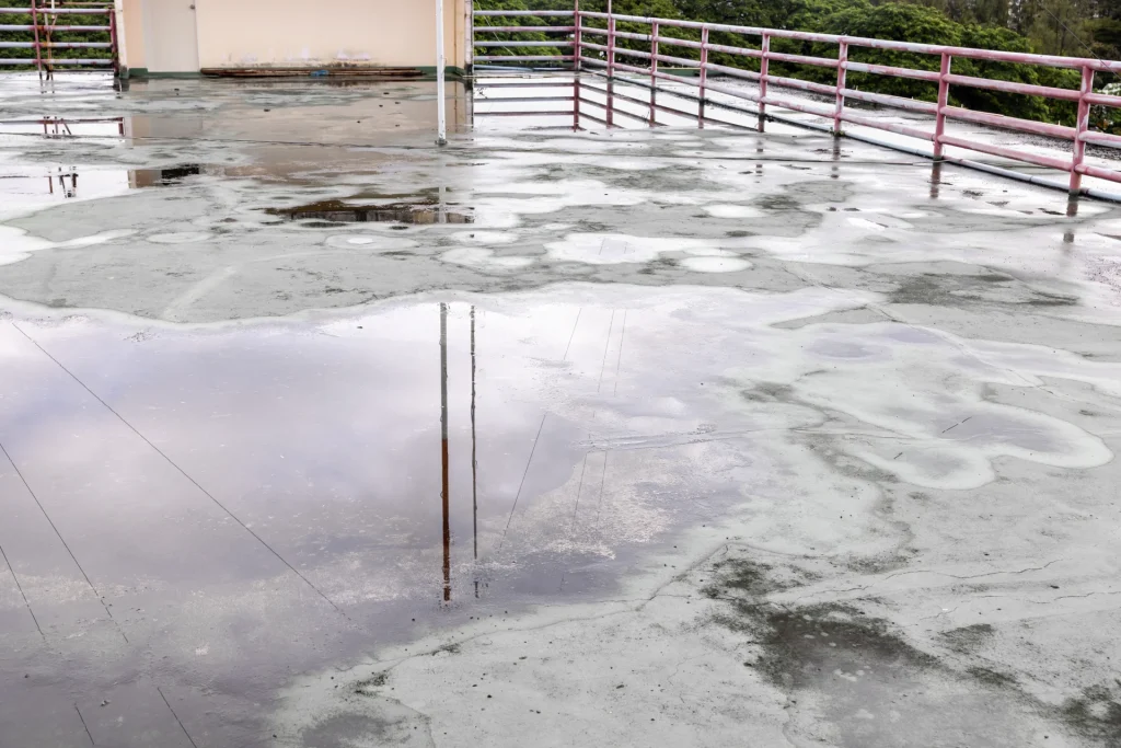 The High Cost of Ponding: Preventing Water Intrusion on Commercial Flat Roof